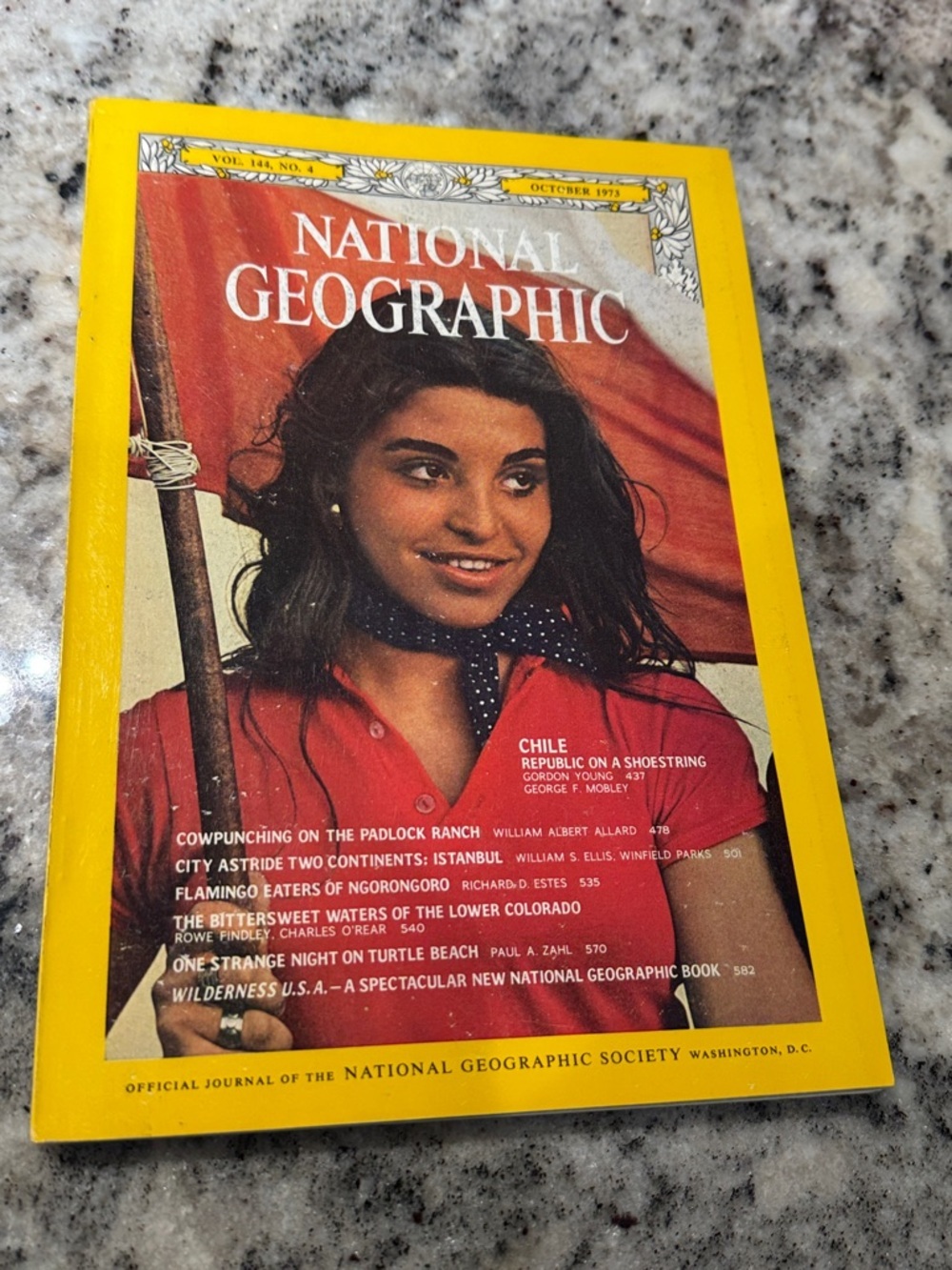 National Geographic Yellow-Edged Cover with Red and Navy Accents